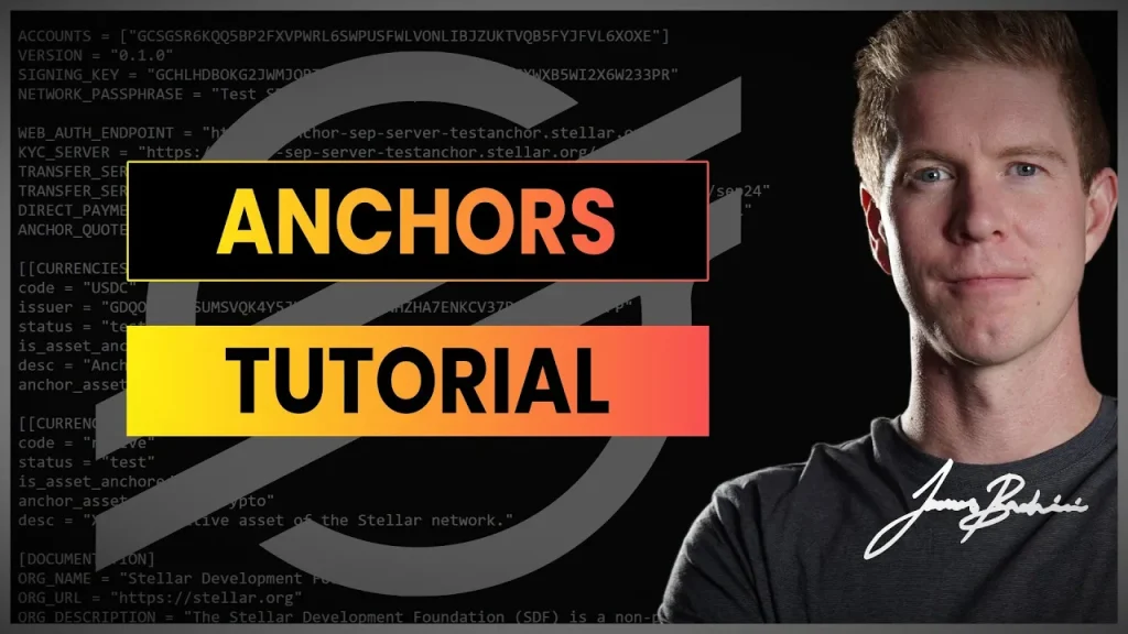 Stellar Anchors Platform Tutorial